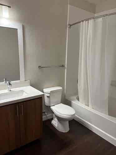 Looking for roommate for May