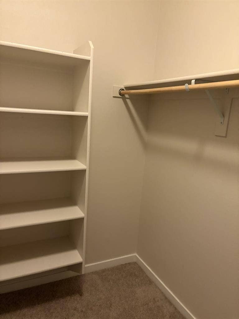 Looking for roommate for May