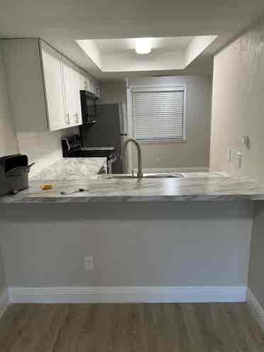 Room for Rent by USF