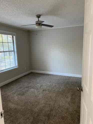 Room for Rent by USF