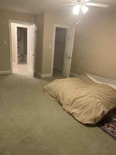 Room for rent