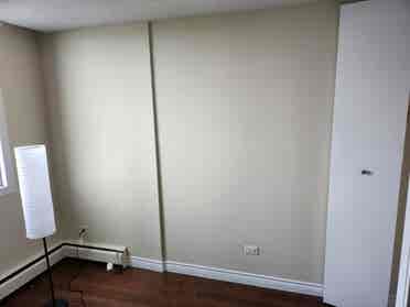 Roommate needed for DT apartment