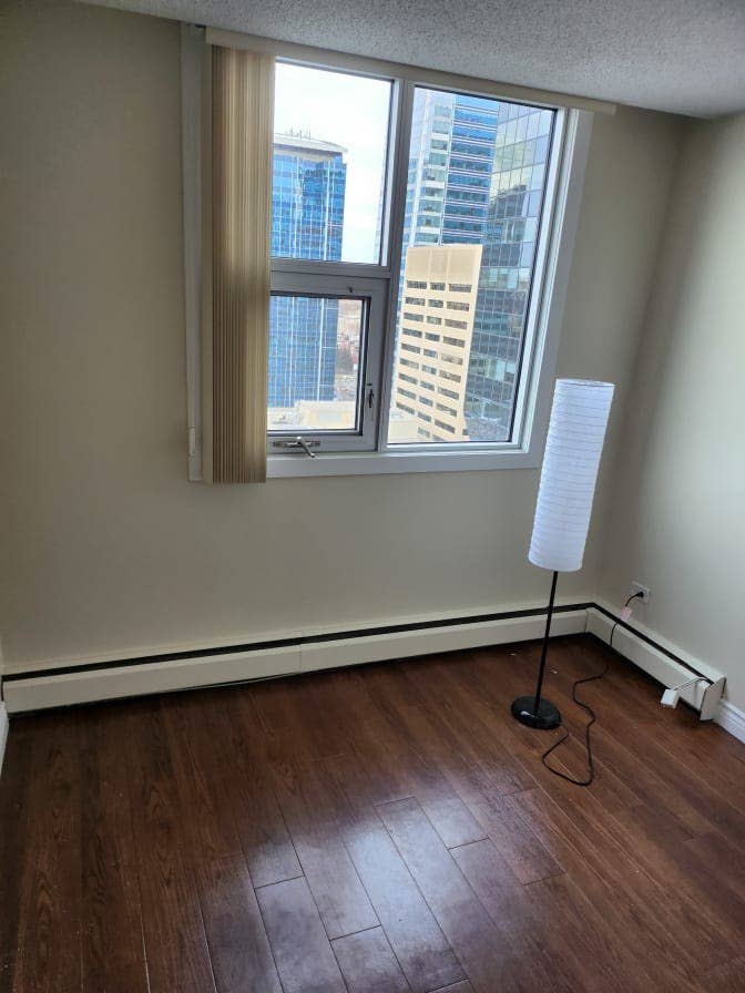 Roommate needed for DT apartment