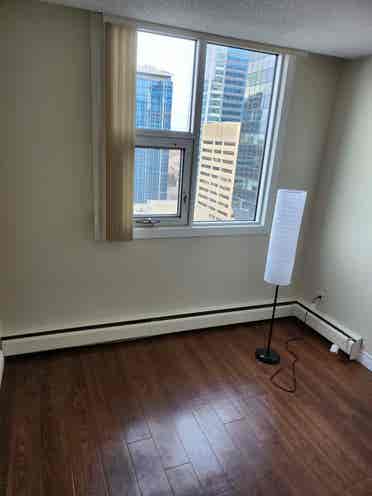 Roommate needed for DT apartment
