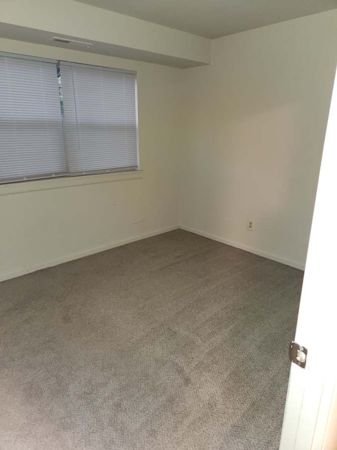 Looking for a roommate