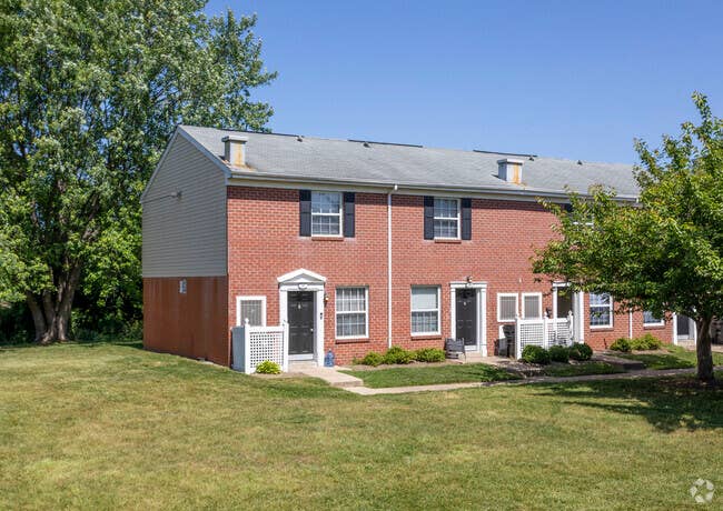 Looking for a roommate