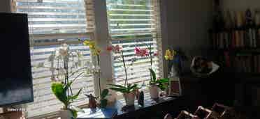 Room for rent quiet ..asap