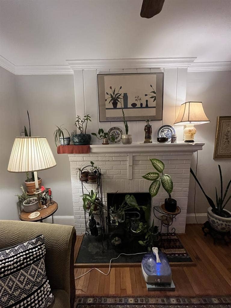 Room for rent in spacious house