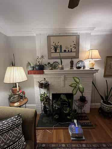 Room for rent in spacious house