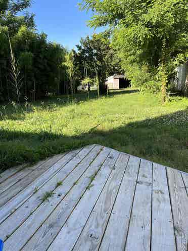 Room for rent in spacious house