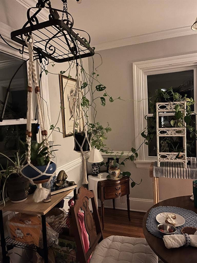 Room for rent in spacious house
