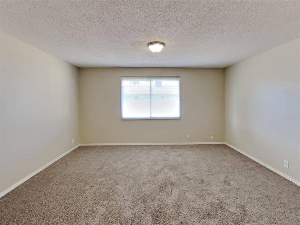 Beautiful Rooms For Rent