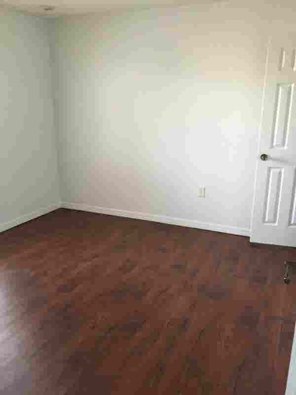 Looking for a Roommate