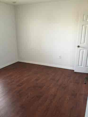 Looking for a Roommate