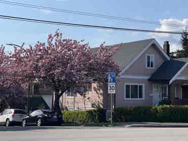 2 spacious private BR in 3BR suite