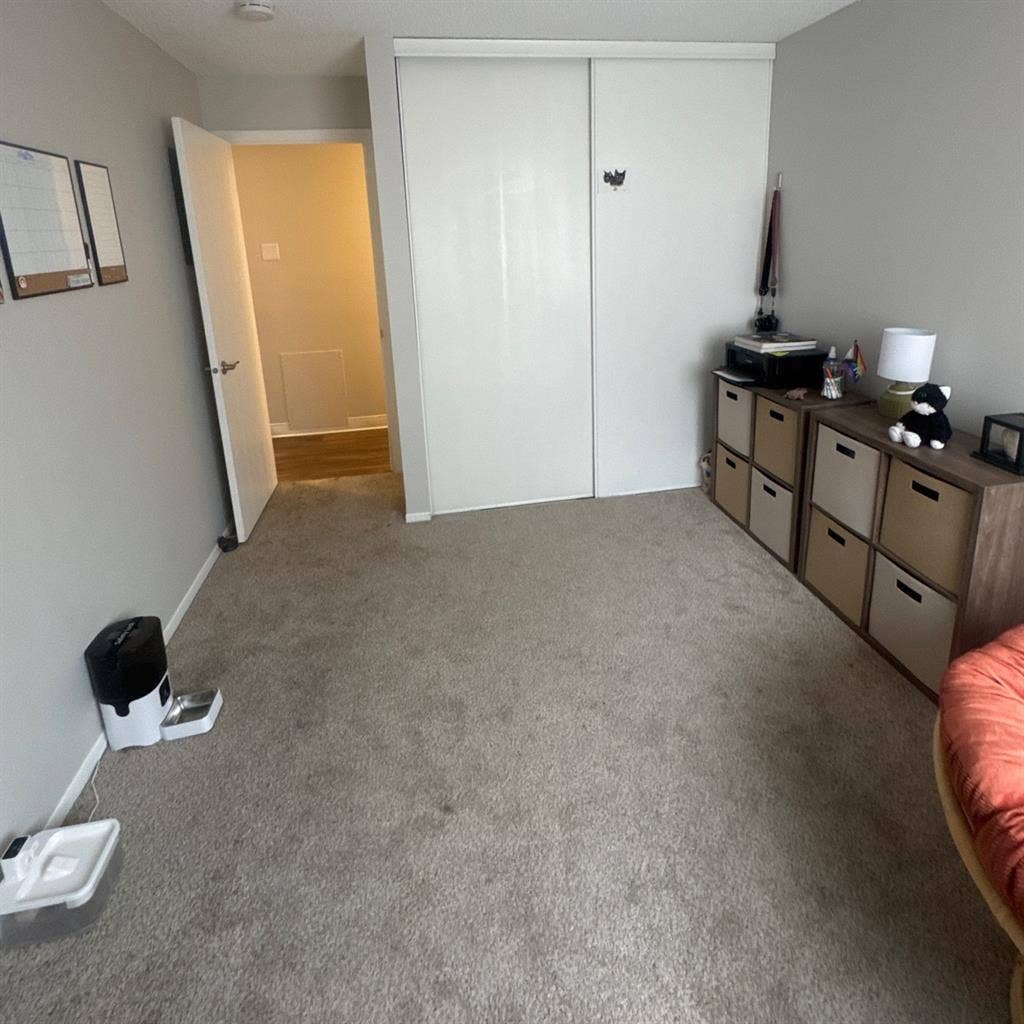 Looking for a roommate