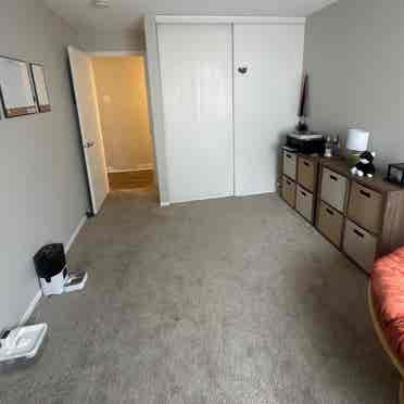 Looking for a roommate