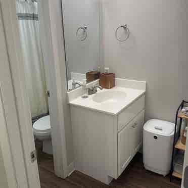Looking for a roommate