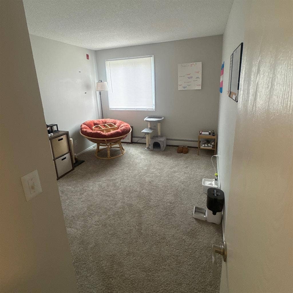 Looking for a roommate