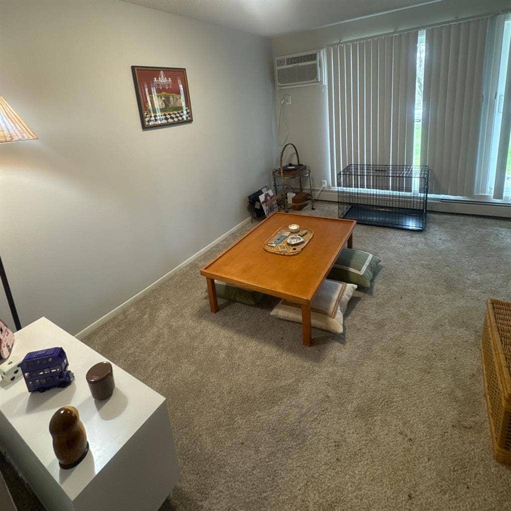 Looking for a roommate