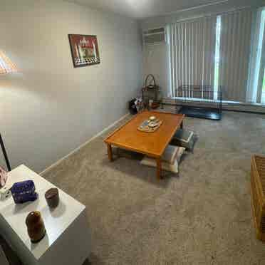 Looking for a roommate
