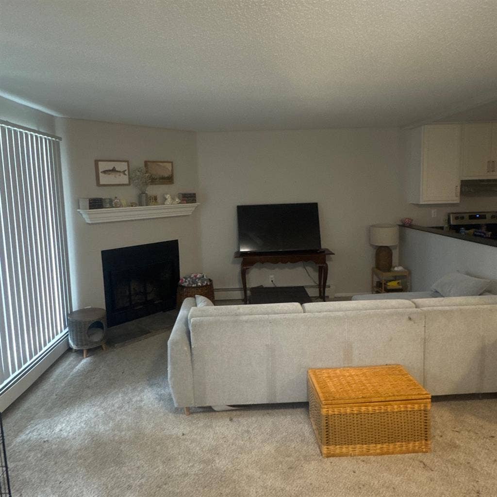 Looking for a roommate