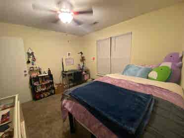 1bed/bath in a shared apartment