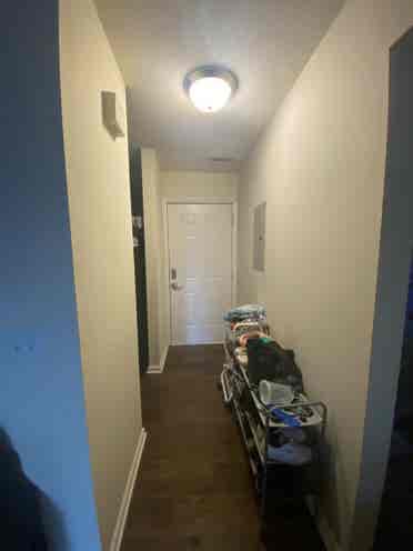 1bed/bath in a shared apartment