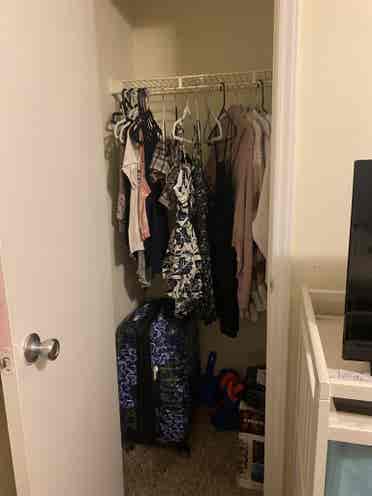 1bed/bath in a shared apartment