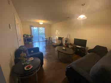 1bed/bath in a shared apartment