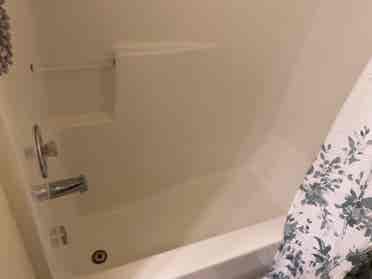 1bed/bath in a shared apartment