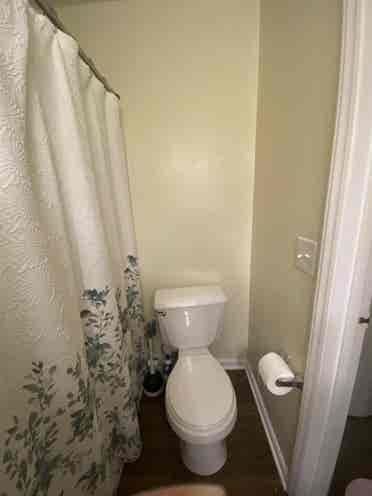 1bed/bath in a shared apartment