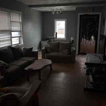 Roommates wanted for