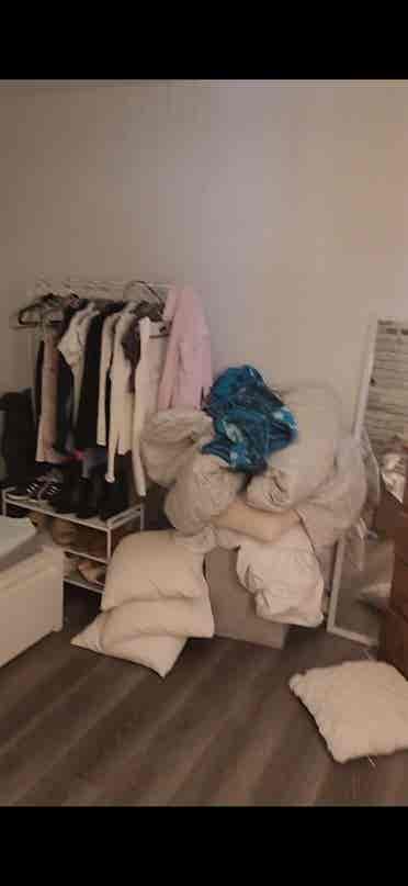Roommate needed June 1st