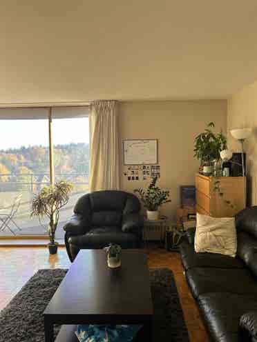 Looking for sublet!