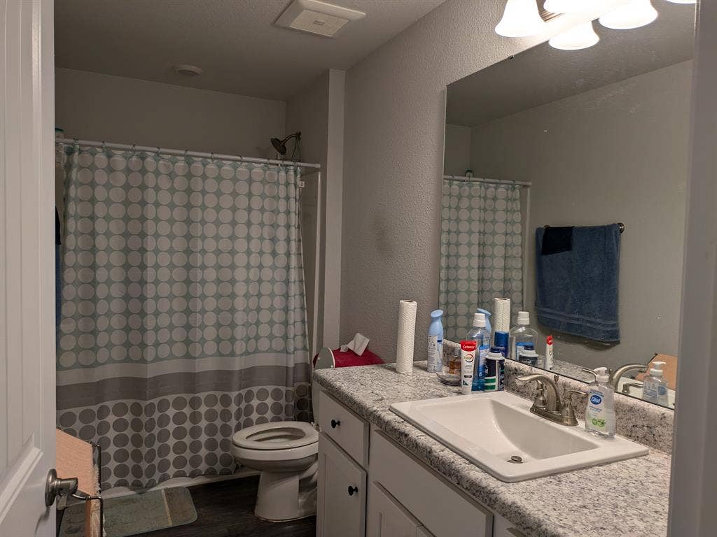 Quiet, no drama roommate