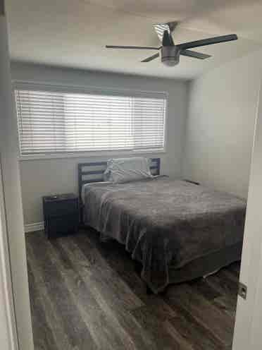 Room for rent on Newport Peninsula