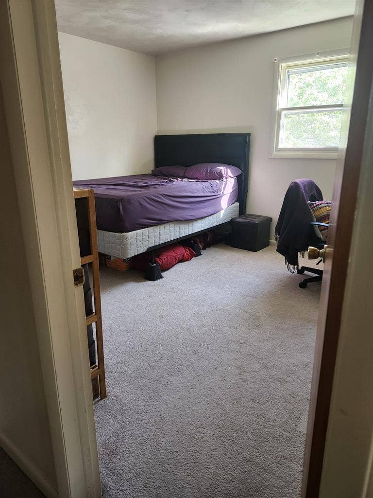 Looking for Roomate