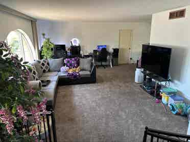 Low-Key House, High-Key Comfort