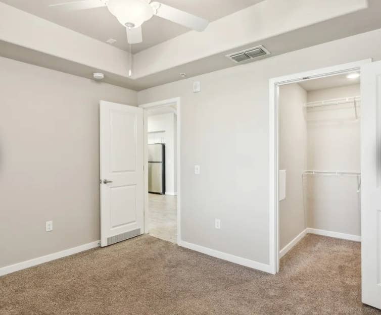Looking for an apartment-mate!