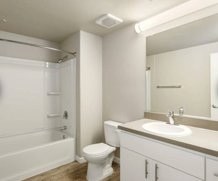 Looking for an apartment-mate!