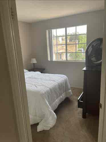 Room near Miracosta June 1st open