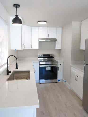 Roommate Needed