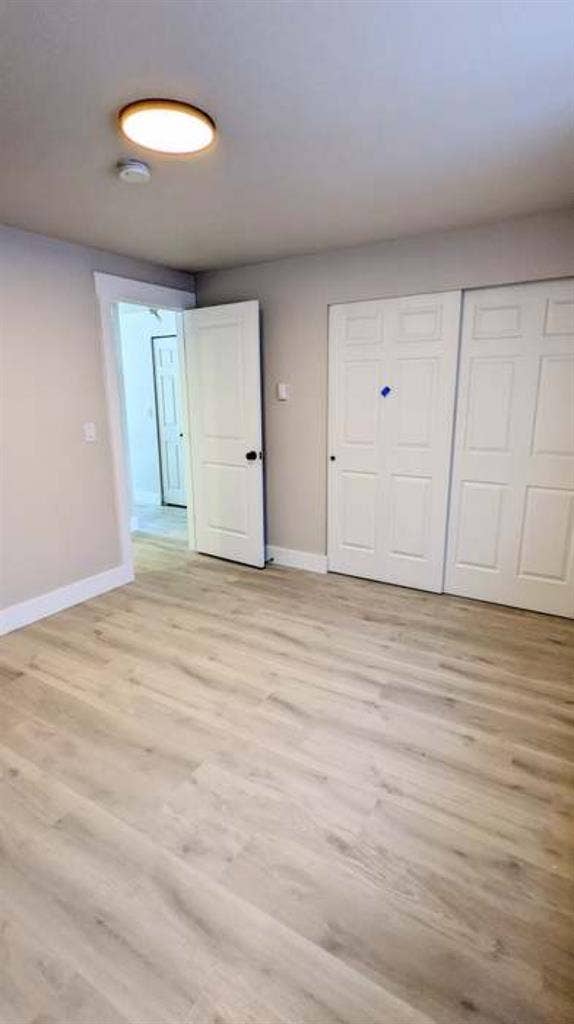 Roommate Needed