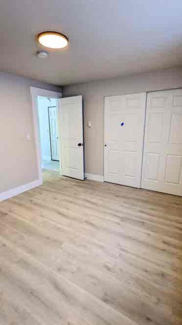 Roommate Needed