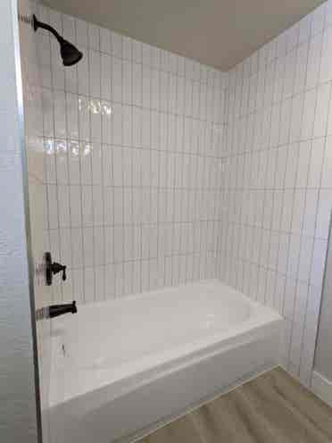 Roommate Needed