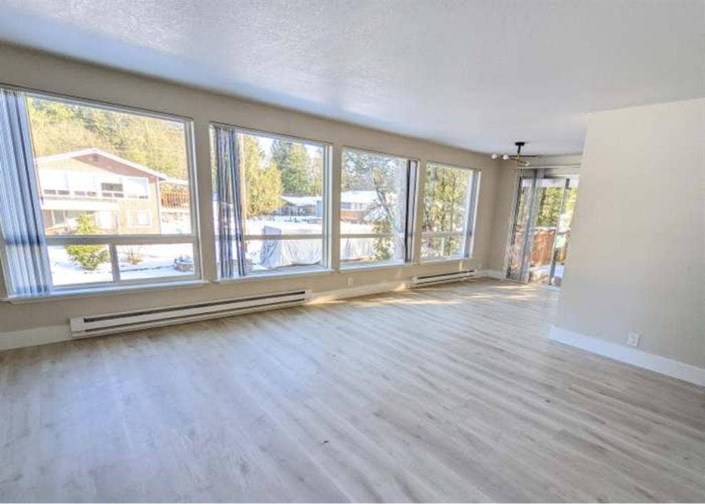 Roommate Needed