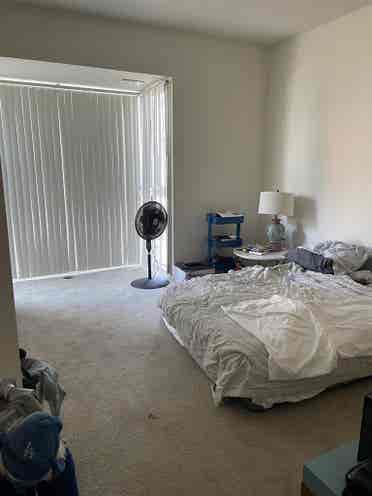 Respectful Mission Bay roomie only!