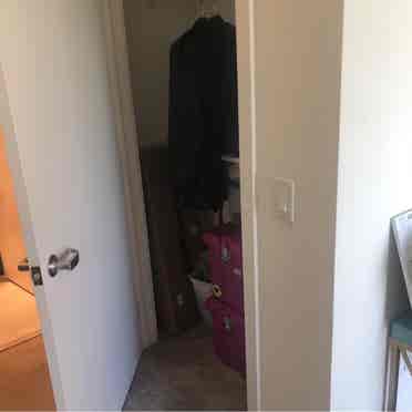 Respectful Mission Bay roomie only!
