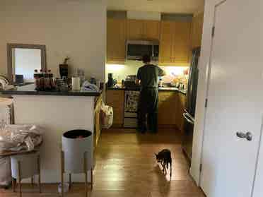 Respectful Mission Bay roomie only!